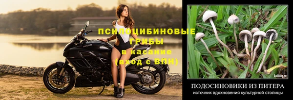 стафф Алексеевка