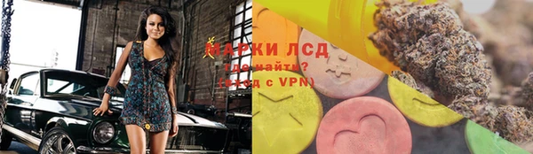 винт Алзамай