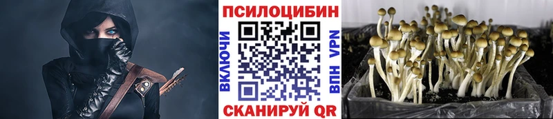 Псилоцибиновые грибы MAGIC MUSHROOMS  Крымск 
